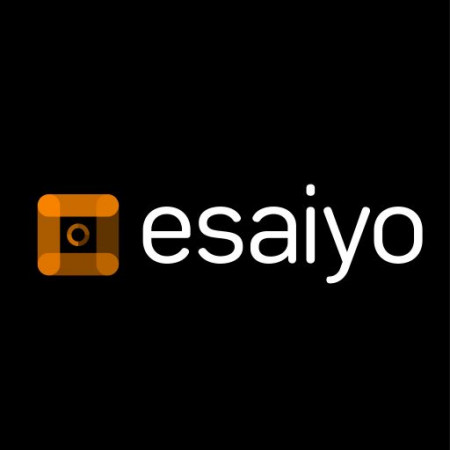 Image for Raymond St. Martin Leads Technology Platform ESAIYO Boldly Into the Metaverse