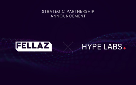 Image for Fellaz, a Web3 Entertainment NFT Solution Platform, Signed a Strategic Partnership With Hype Labs as an Investor, Accelerator, and Core Partner in the Fellaz Ecosystem