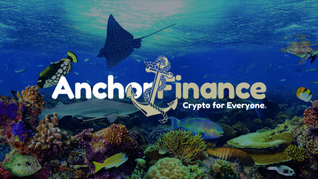 Image for How AnchorFinance Aims to Create a User-Friendly Crypto Experience Beyond the Four Walls.