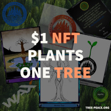 Image for Tree Peace Enters The NFT Space To Raise Money For Tree Planting And Carbon Credits